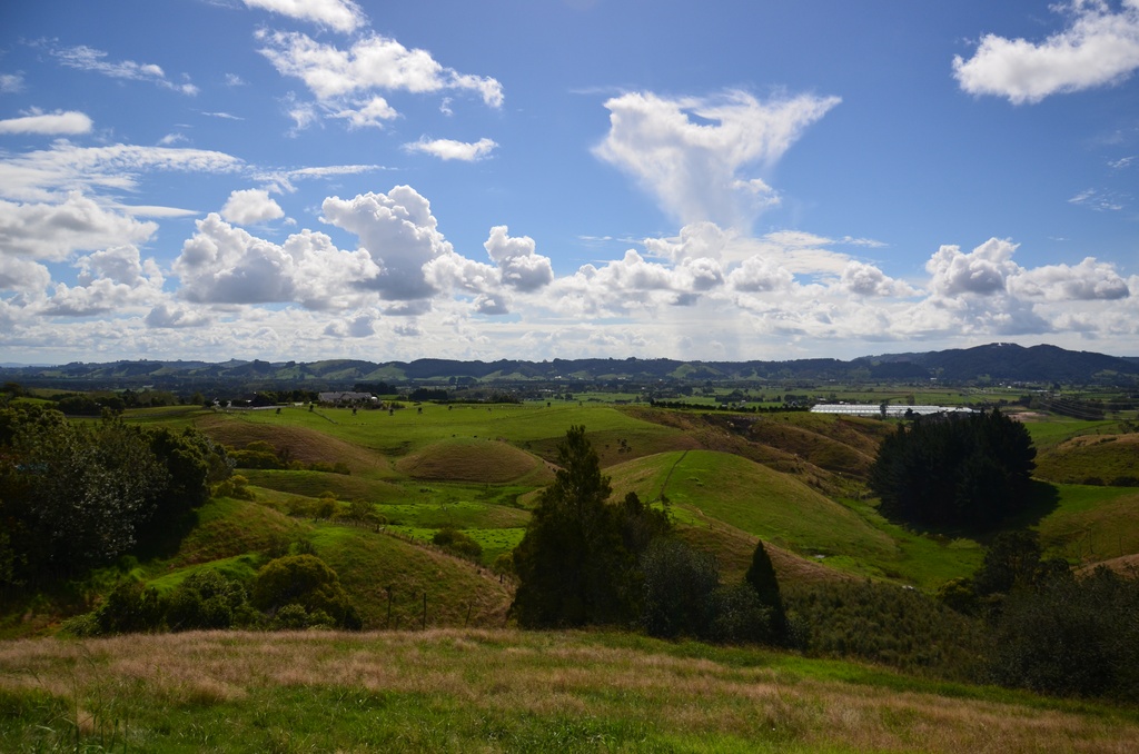 2017-03 New Zealand/Hunua/DSC_0254.JPG